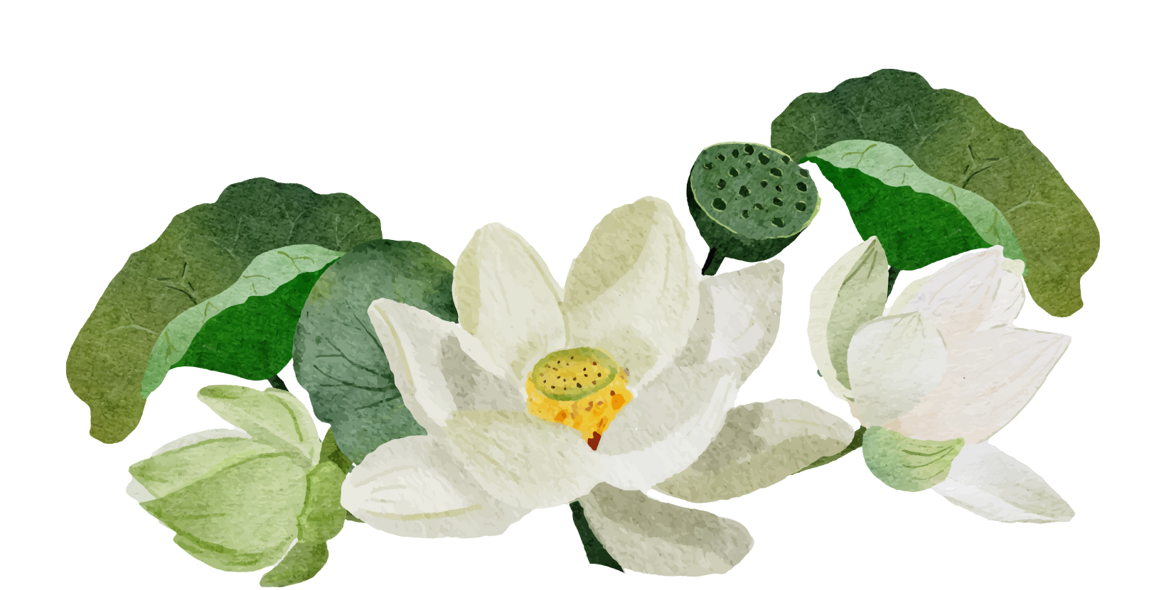White Lotus Mission Society